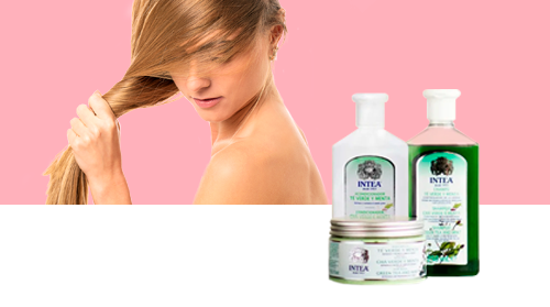 Cheveux gras. Gamme Intea® au thé vert et à la menthe